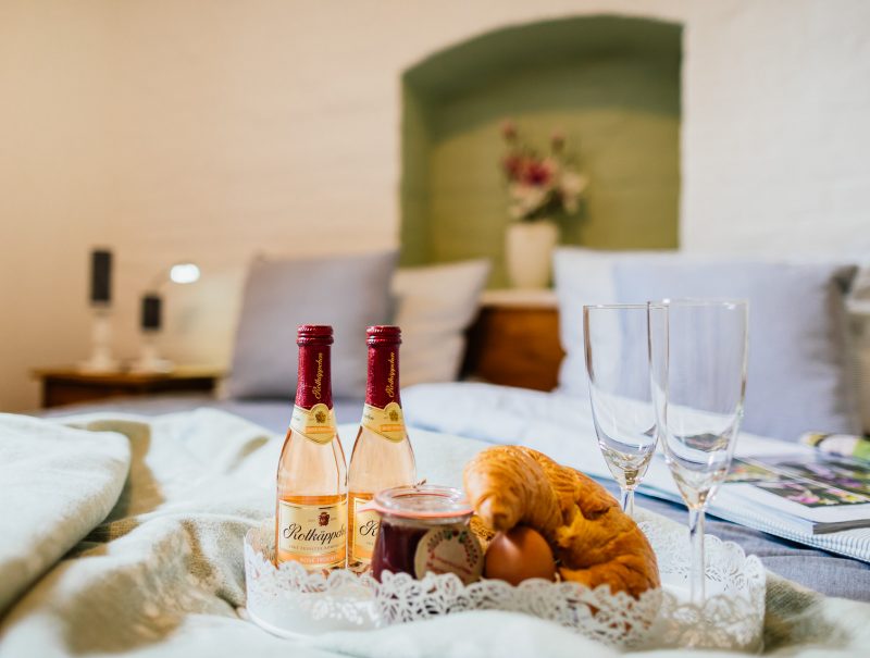 ferienwohnung_ilmenau_villa-fruebing_12