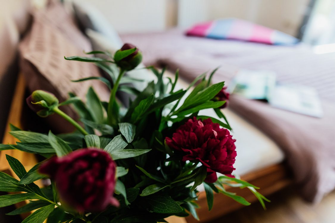 ferienwohnung_ilmenau_villa-fruebing_29